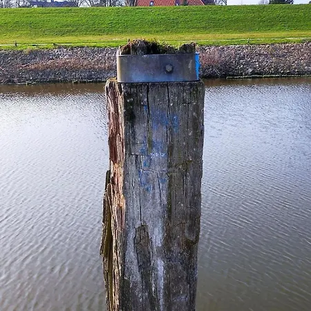 Apartment Ankerplatz 54 Grad Nord In Friedrichskoog-spitze Mit Hund Und Kind Ans Wattenmeer *